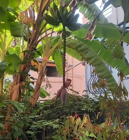 Villa La Clemente Menton Exterior foto